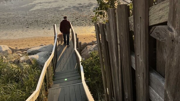 En træpromenade der fører til en strand, med en person og en hund.