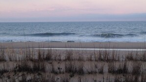Ein Strand mit Wellen und vereinzelter Vegetation.