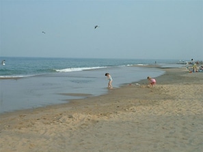 Una playa con arena, agua y gente.