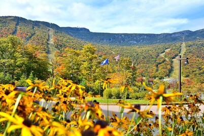 Stowebound: Spruce Peak studio w/ fireplace, a/c and resort amenities!