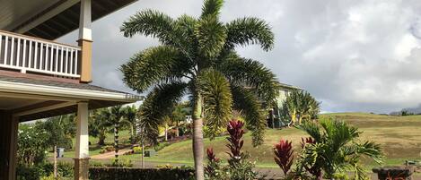 A covered outdoor area with a palm tree, a stone wall, and a view of a hill with a building in the background.