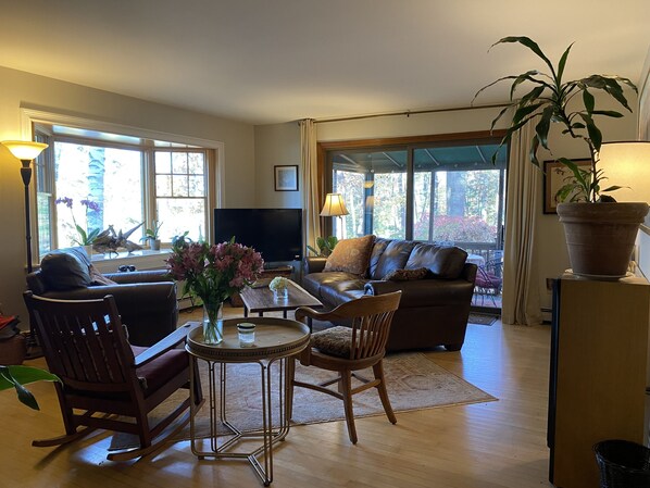 Téléviseur connecté, foyer, lecteur de DVD, table de ping-pong