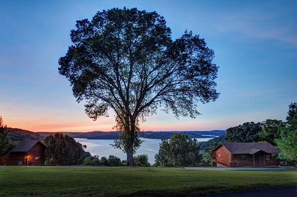 Ein großer Baum vor einer Hütte, im Hintergrund ein See und Hügel.
