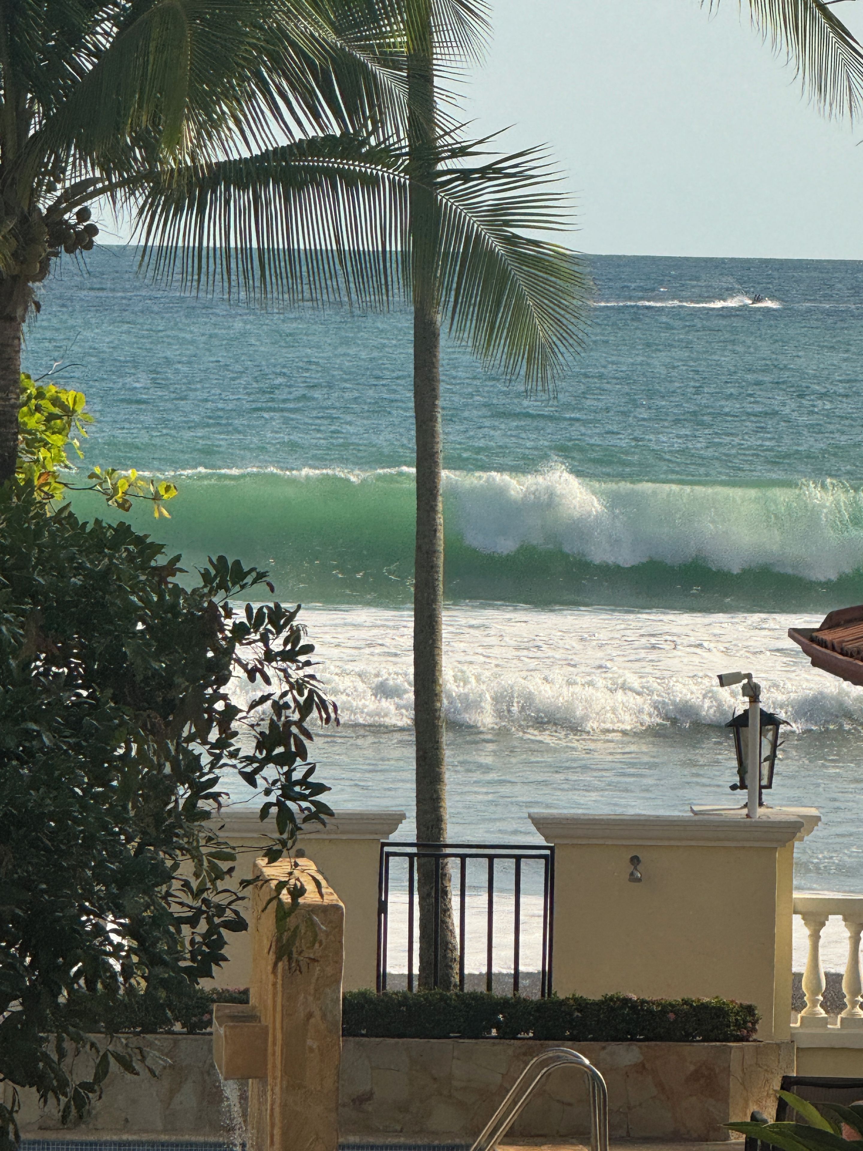 A coastal view with a palm tree, a railing, and a view of the ocean.