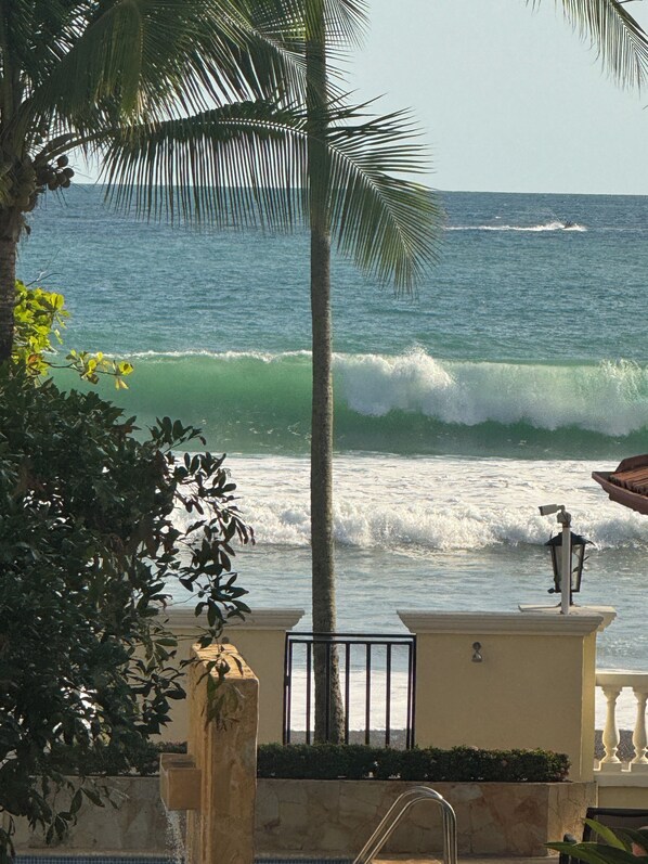 A coastal view with a palm tree, a railing, and a view of the ocean.