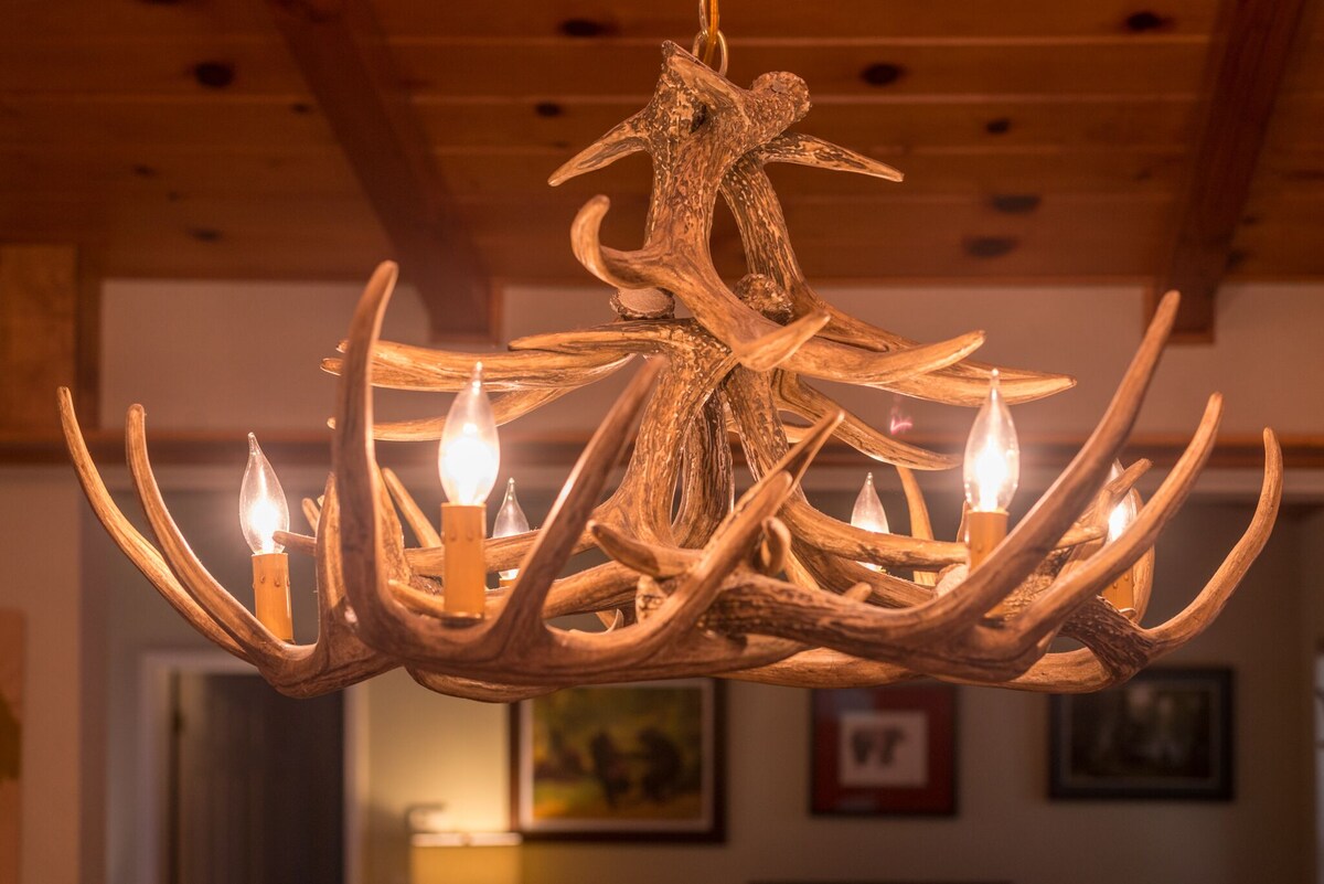 Imagen de perfil del propietario o de la propietaria