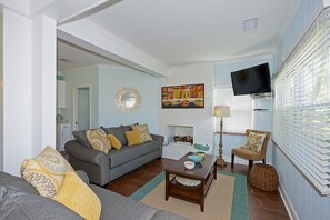 Televisio, DVD-soitin, kirjoja, videokirjasto