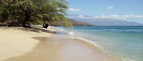 在海滩、沙滩椅
