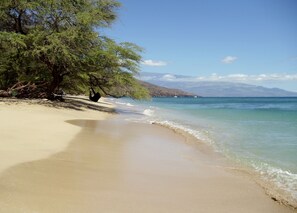 A beach with clear waters, a sandy shore, and a tree-lined path.