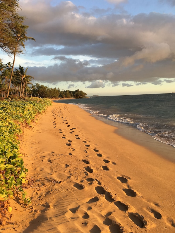 On the beach, sun-loungers - THE BEST KEPT SECRET ON MAUI !!! LITTLE PEACE OF PARADISE (Kihei)