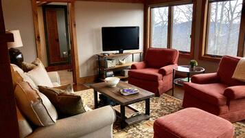 TV connectée, cheminée, lecteur de DVD, livres