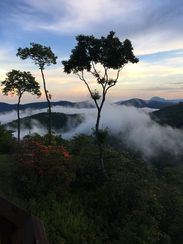 A landscape with three prominent trees, a mountainous backdrop, and a valley shrouded in mist.