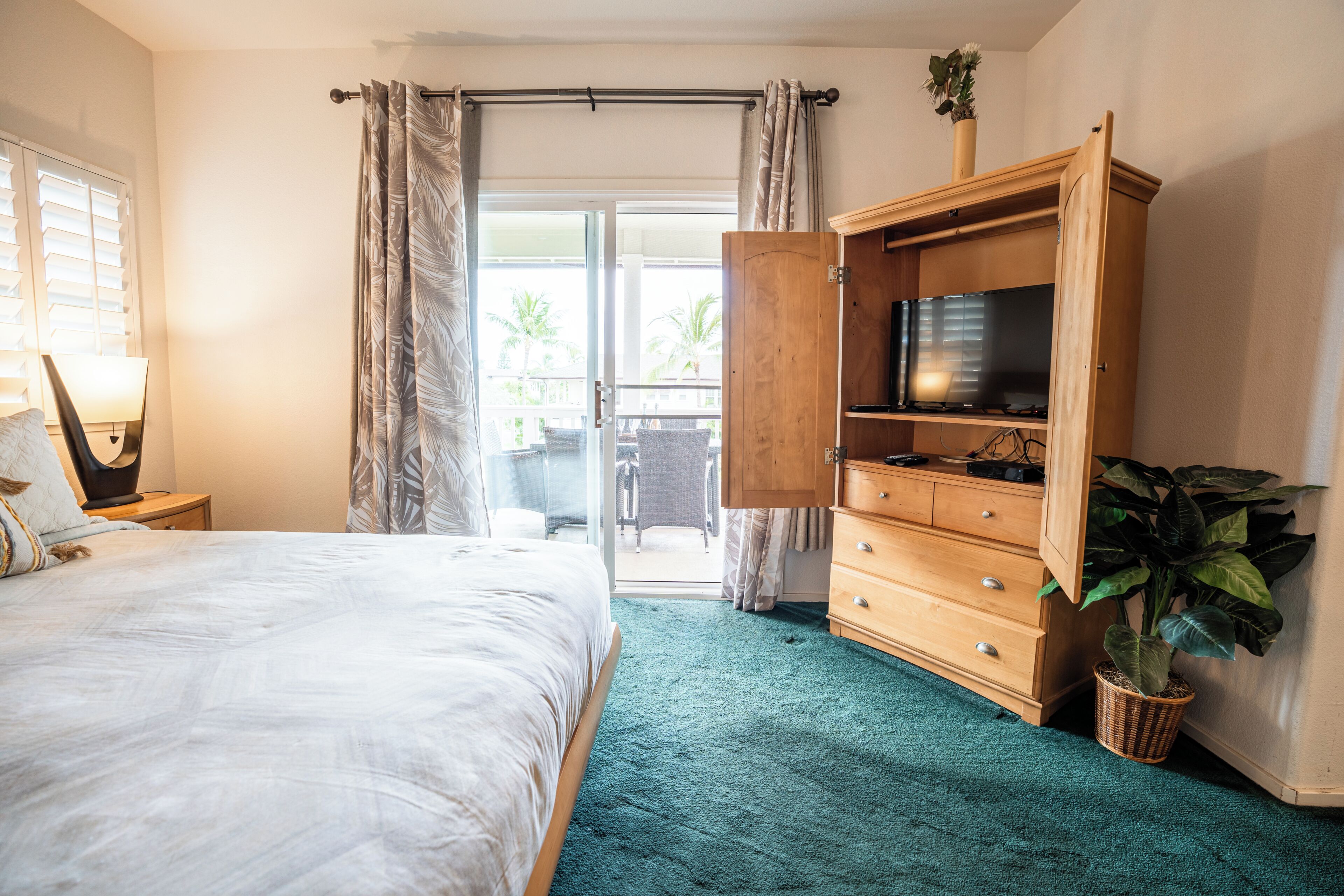 A hotel room with a bed, a TV on a wooden stand, a plant, and a view through the door.