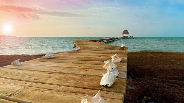 A wooden pier leading to a thatched-roof structure over water. - Rustic Ocean front Home with POOL-115' of beachfront 250 ft Dock-
GOLD STANDARD (San Pedro)