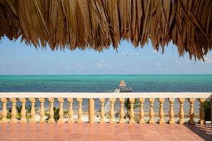 Property grounds - Rustic Ocean front Home with POOL-115' of beachfront 250 ft Dock-
GOLD STANDARD (San Pedro)