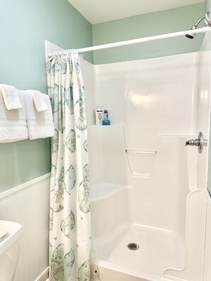 Douche, séchoir à cheveux, serviettes fournies, savon