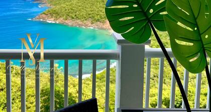 Newly Updated! Private Beach Views, Luxury Villa Milagro! Villa 2