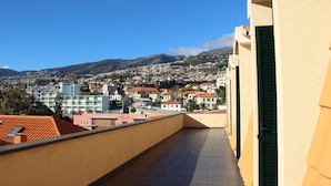 Vista a la montaña