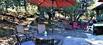 REMODELED 3Bd / 2Bth TreeTop House * DOWNTOWN Plats + Visningar + NYA LÅGRE PRISER *