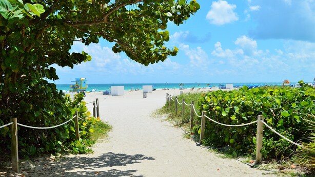 A beach path leading to a lifeguard tower, surrounded by lush greenery and a clear blue sky.