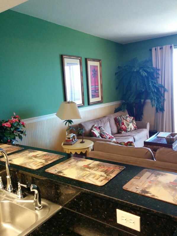 Smart TV, DVD player, books, video library