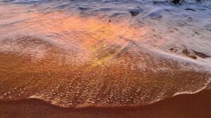 A beach with waves at sunset. - 105E 2Bed/2Bath Beautiful Gulf View (Gulf Shores)