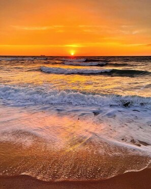 On the beach - 105E 2Bed/2Bath Beautiful Gulf View (Gulf Shores)