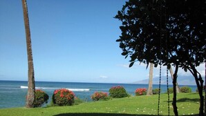 Ein Küstenblick mit einer Rasenfläche, Bäumen und blauem Himmel.