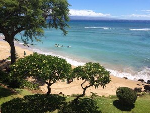 On the beach, sun-loungers, beach towels - Third Floor Oceanfront Condo Steps From the Beach in The Peaceful Kuleana Resort (Lahaina)