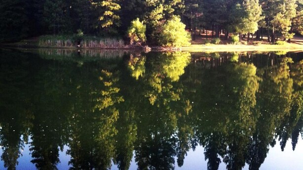 Un lac paisible, entouré d’une forêt dense dont le feuillage se reflète dans l’eau.