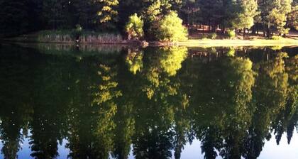 Neugebaute Hütte In Lakemont Pines, Arnold