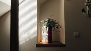 A potted plant on a shelf near a window with blinds. - Studios Belvi (Kotor)