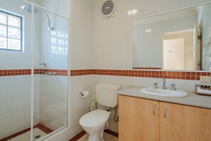 A bathroom with a glass-enclosed shower, a toilet, and a sink with a mirror above it.