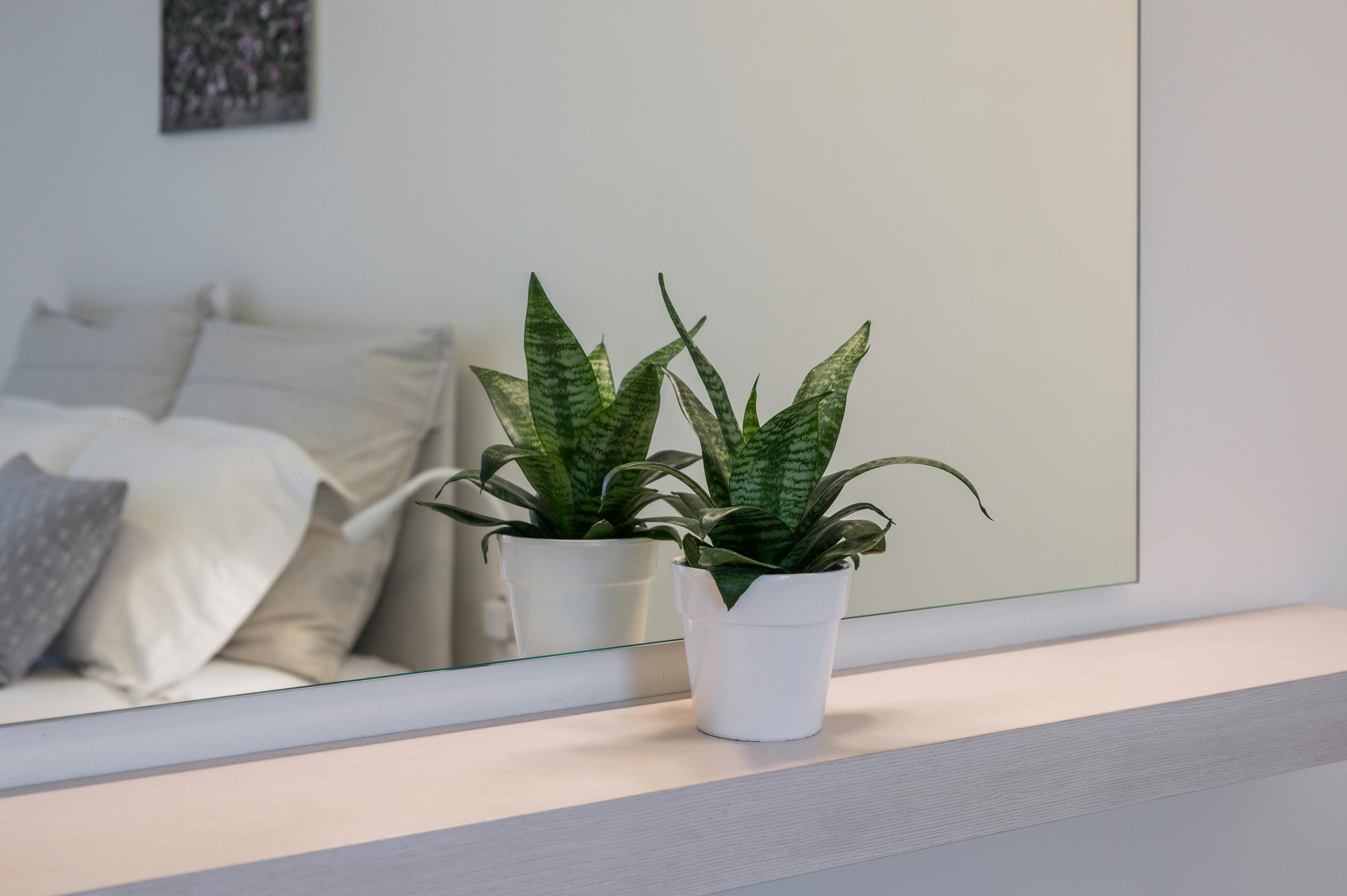 A modern room with a bed, two potted plants, and a large mirror reflecting the room.