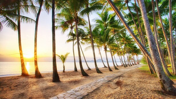A beach with a stone pathway lined with palm trees and the ocean in the background. - Belle Escapes - Latania Villa Palm Cove (Palm Cove)
