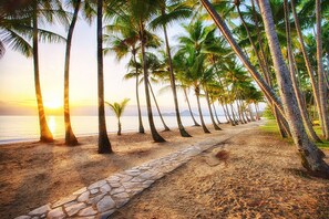 Une plage avec un sentier de pierres bordé de palmiers, et l’océan en toile de fond.