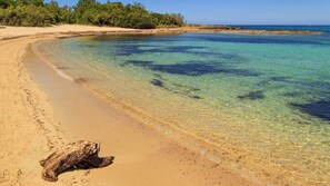 Camastros y toallas de playa 