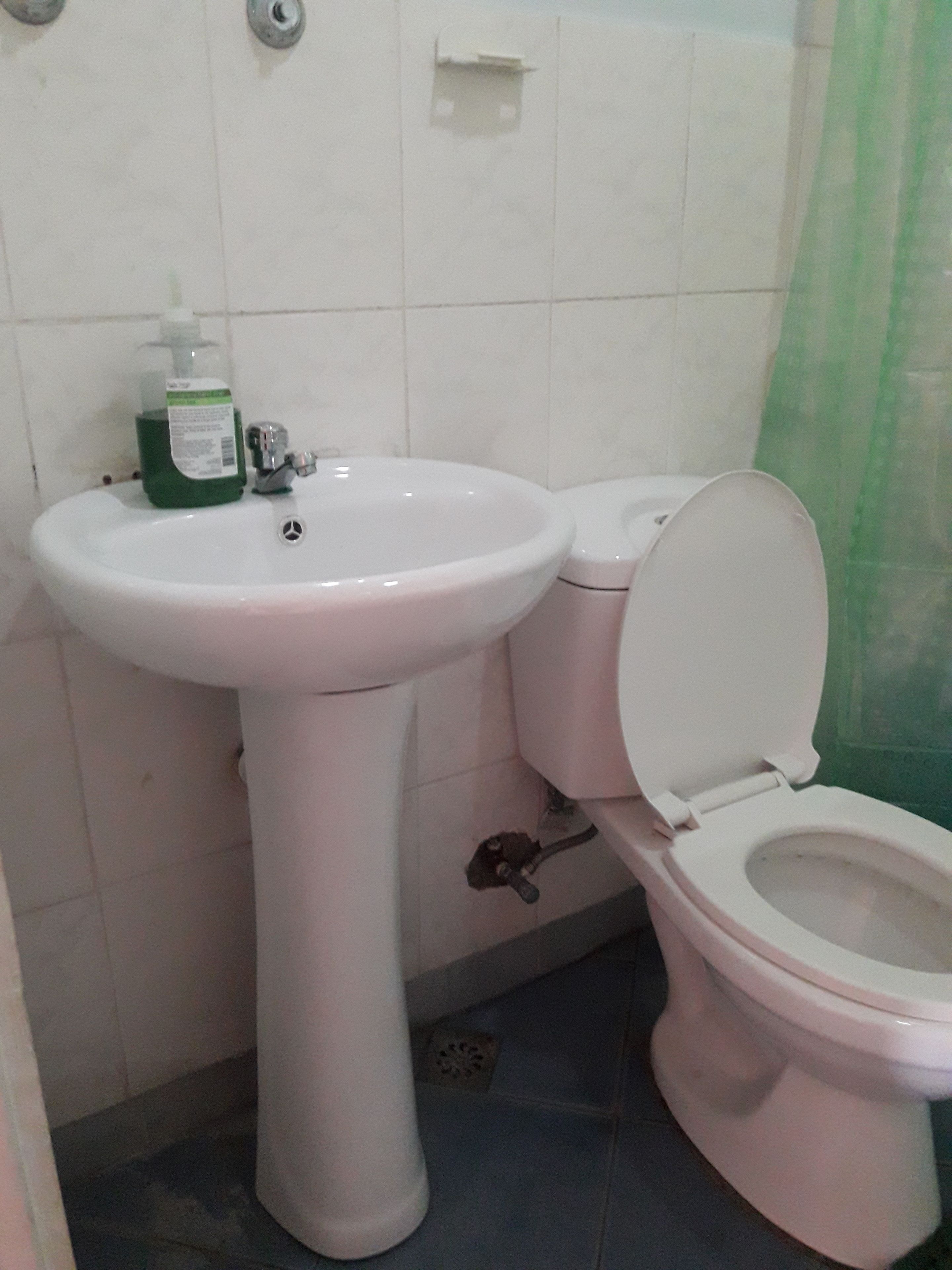 A bathroom with a white pedestal sink, a toilet, and a green bottle on the sink.