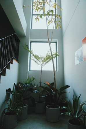 Garden - Marilyn Nha Trang Hotel (Nha Trang)