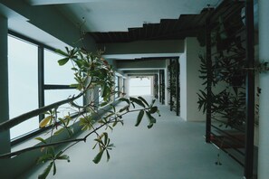 Pemandangan halaman