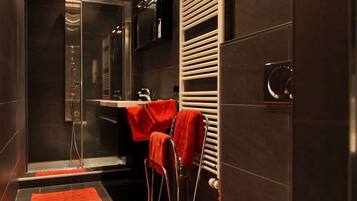 Shower, hair dryer, towels