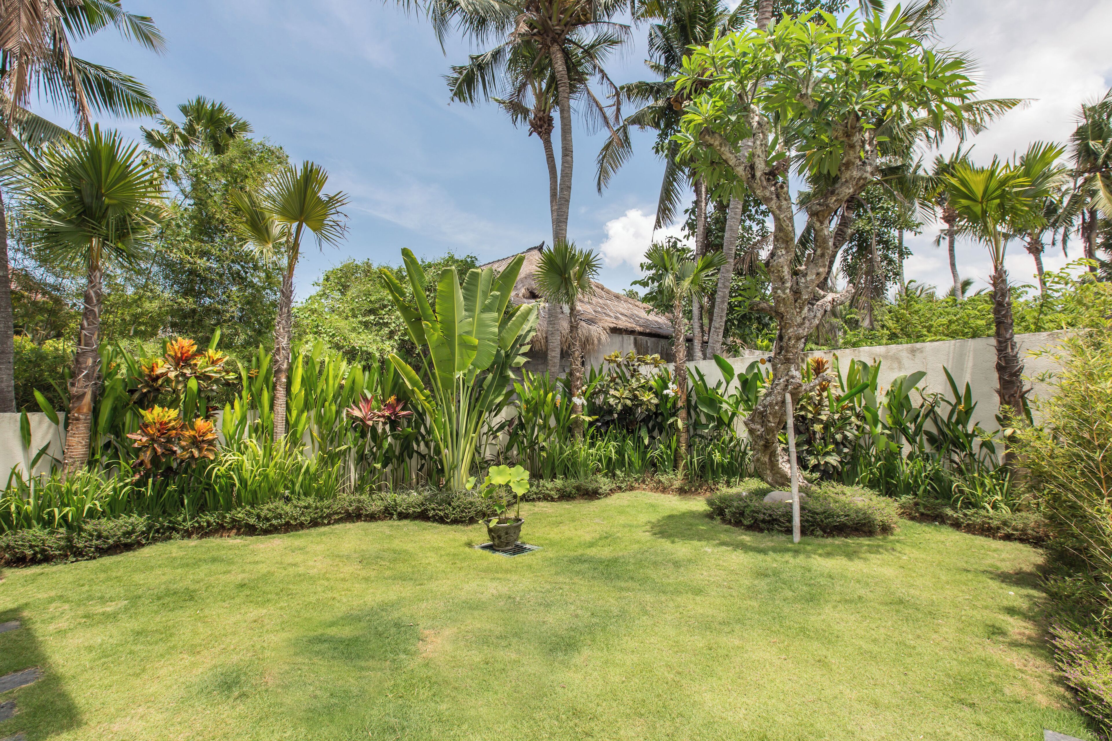 A lush garden with palm trees, a thatched-roof structure, and a variety of tropical plants.