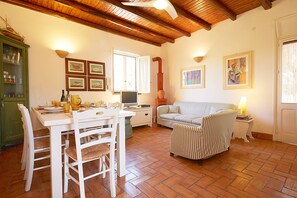 TV, caminetto, lettore DVD, libri