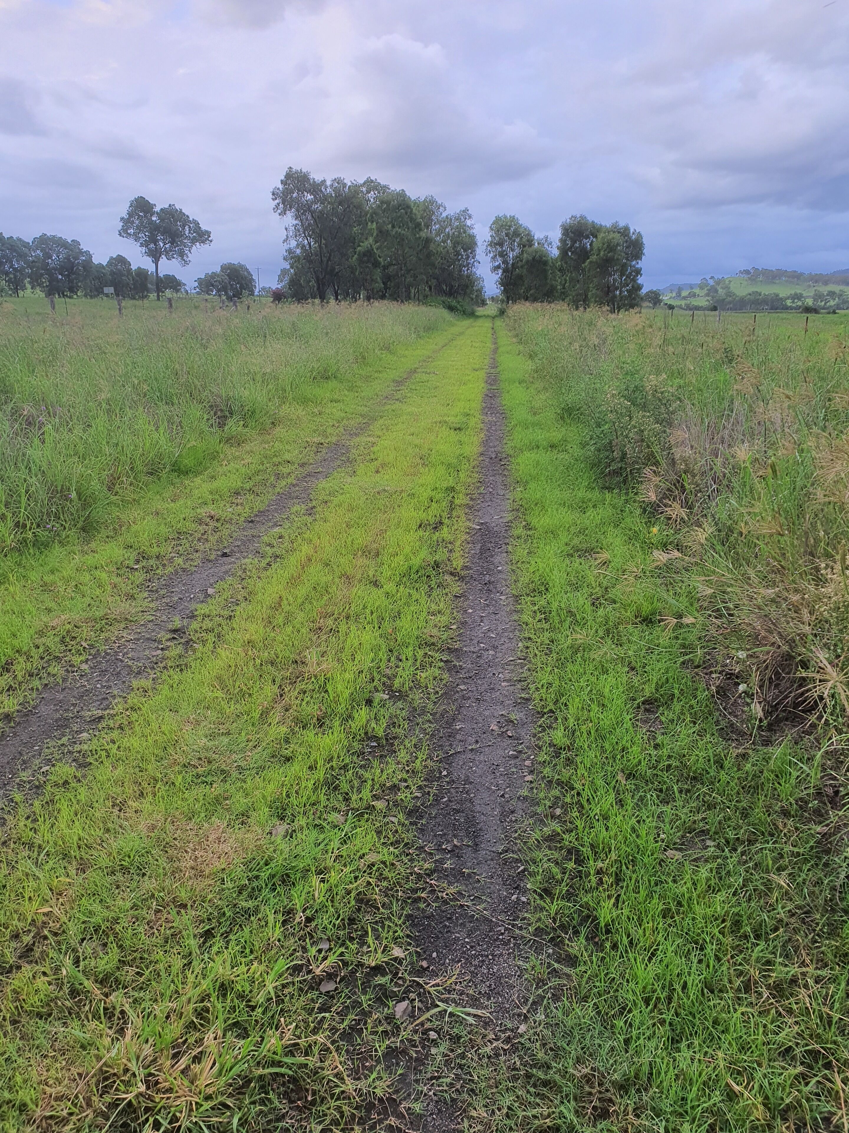 Un sendero rural con césped y tierra, que se dirige hacia árboles y un paisaje montañoso.