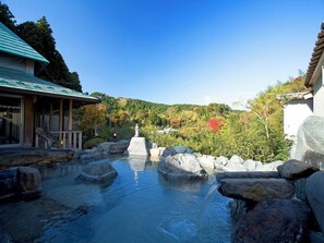 Spa - Hito no Yado Takimien (Otaki)