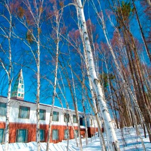 Un edificio con fachada roja y blanca, rodeado de suelo cubierto de nieve y árboles sin hojas.