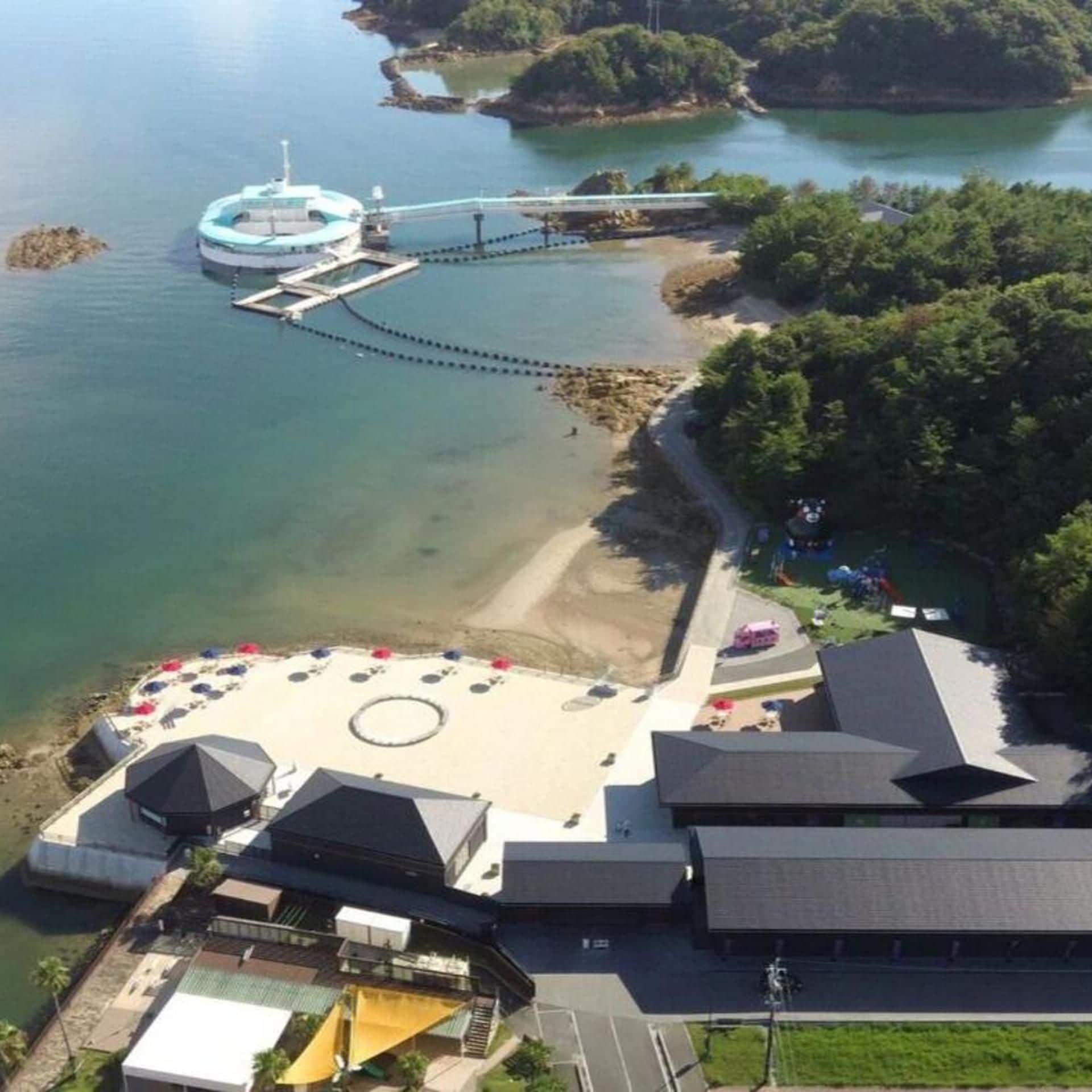 An aerial view of a coastal area with a beach, a pier, and a building with a sloped roof.