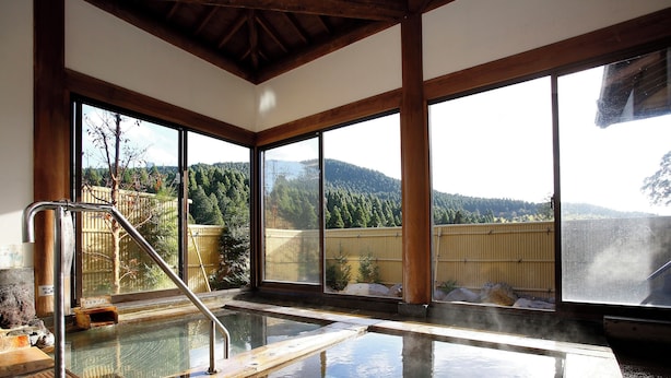 Baño de aguas termales con escalones de madera, ventanas amplias y vistas a un paisaje boscoso.