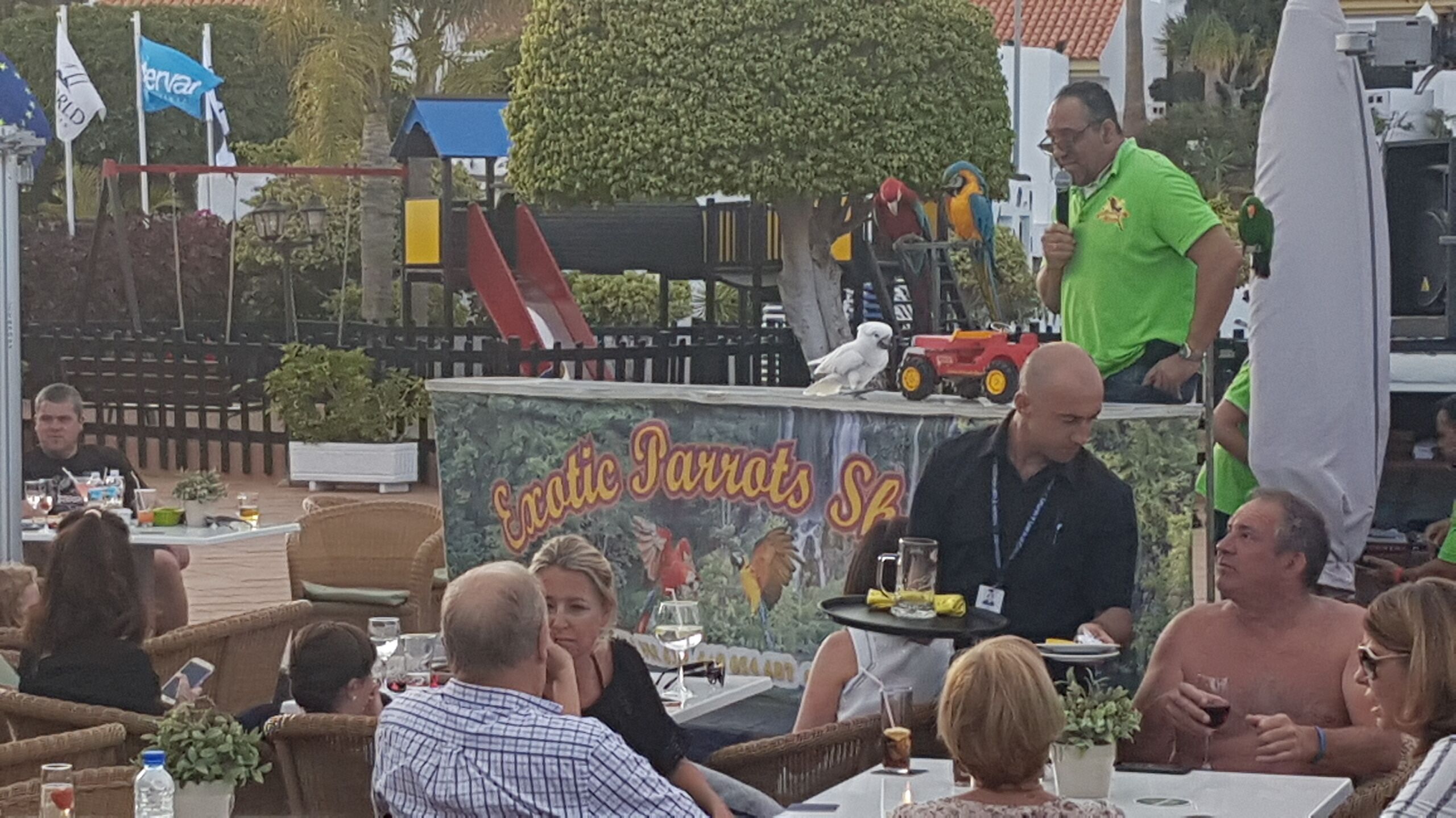 An outdoor dining area with wicker chairs and tables, a stage with a parrot exhibit, and a sign reading "Ecotic Parrots Spa".