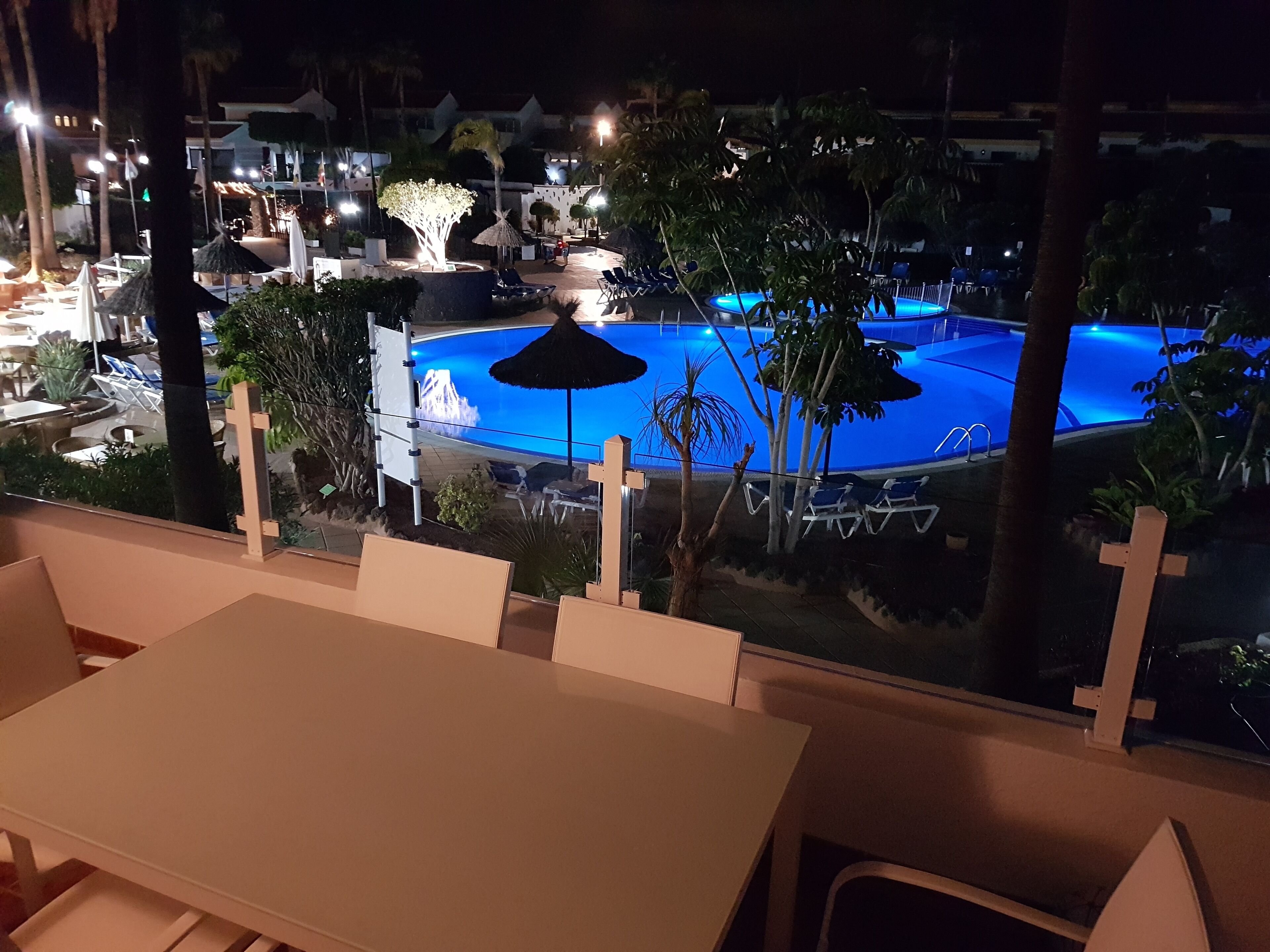 Area piscina con sedie a sdraio e ombrelloni, circondata da palme e con vista su un edificio sullo sfondo.